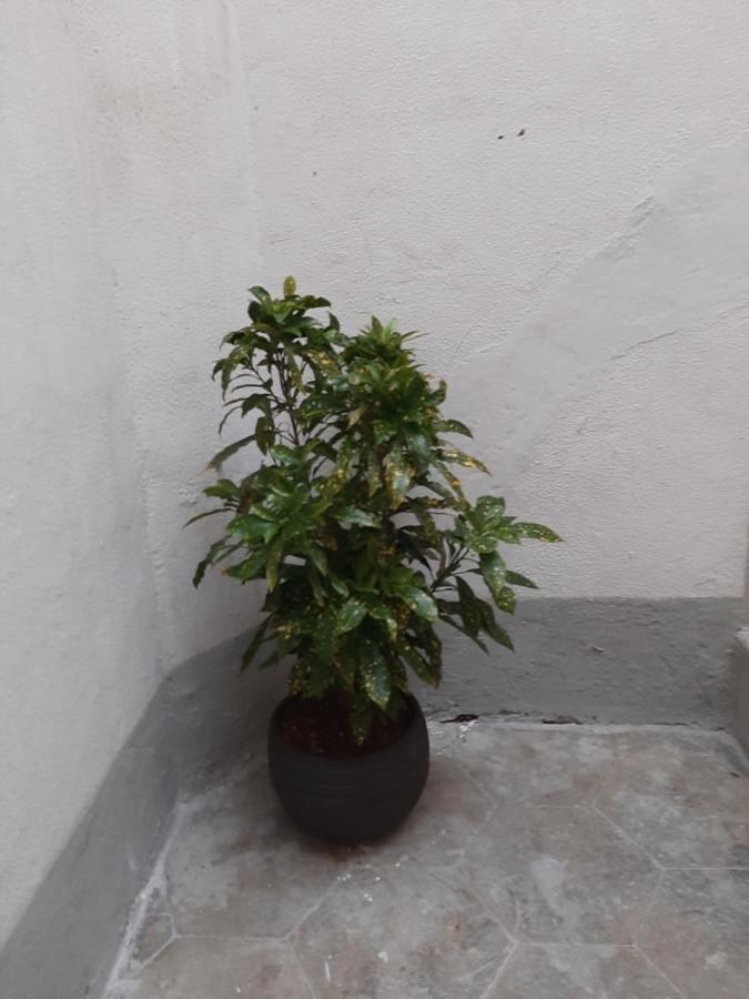 Al Crocifisso...Da Nonna Pia Apartment Салерно Екстериор снимка